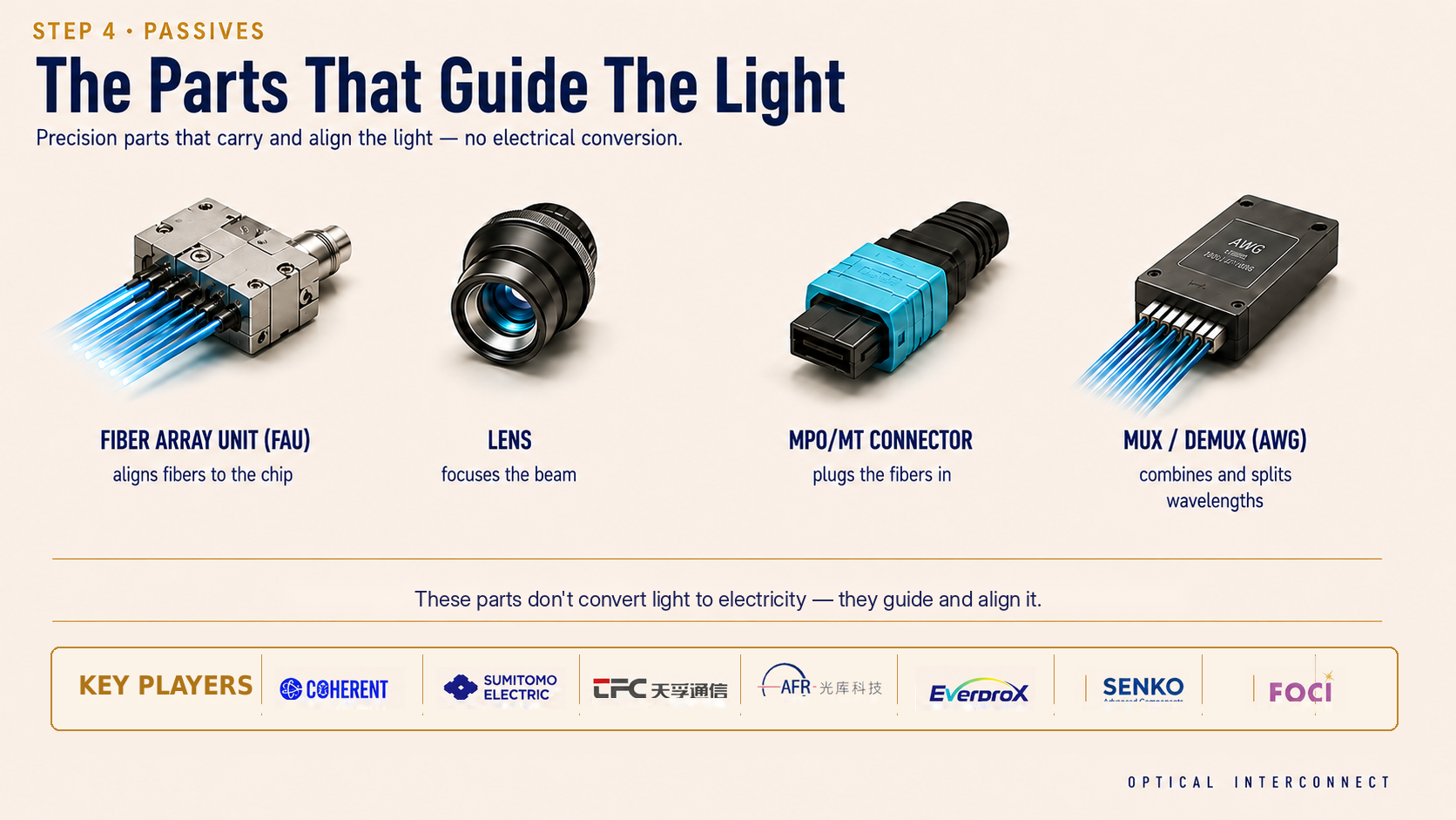 The Parts That Guide The Light